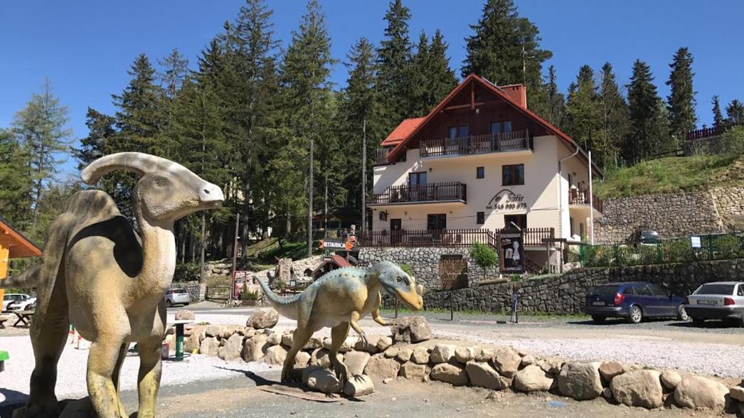 Safir Przy Samym Wyciagu Bed & Breakfast Karpacz Exterior foto