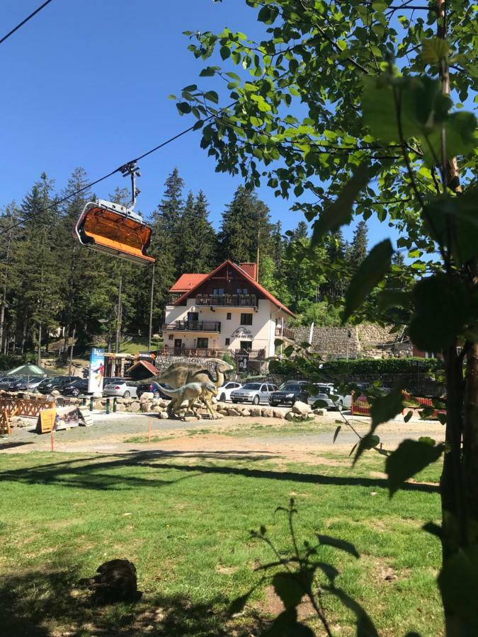 Safir Przy Samym Wyciagu Bed & Breakfast Karpacz Exterior foto