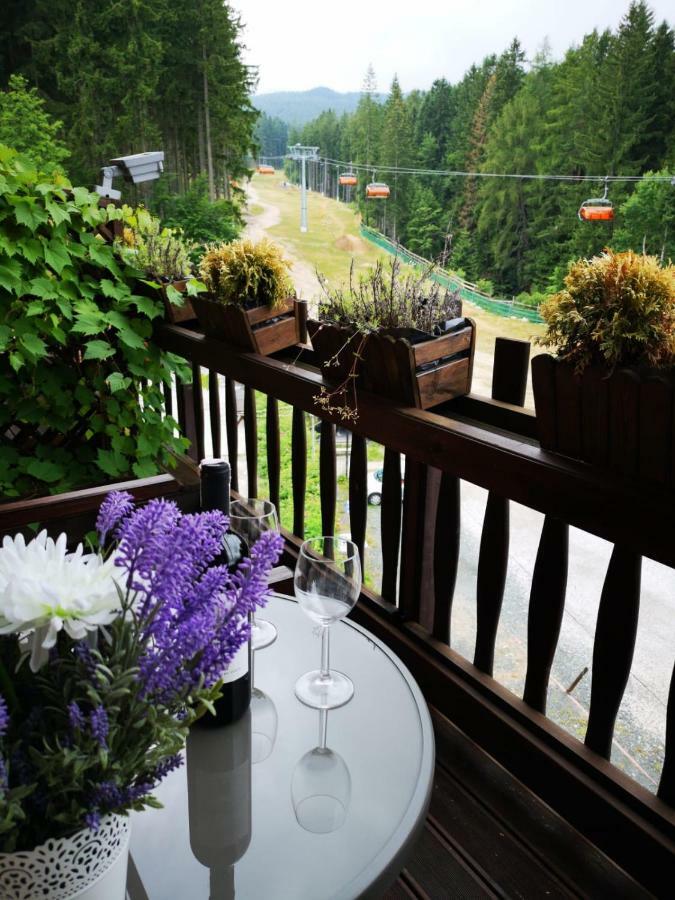 Safir Przy Samym Wyciagu Bed & Breakfast Karpacz Exterior foto