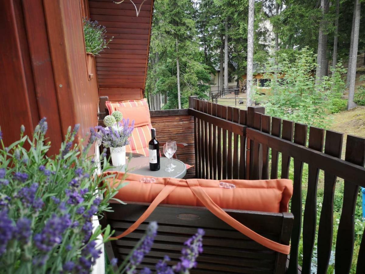 Safir Przy Samym Wyciagu Bed & Breakfast Karpacz Exterior foto