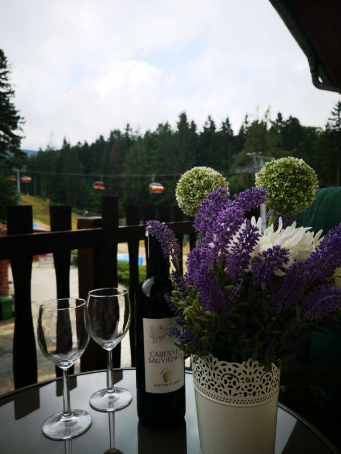 Safir Przy Samym Wyciagu Bed & Breakfast Karpacz Exterior foto